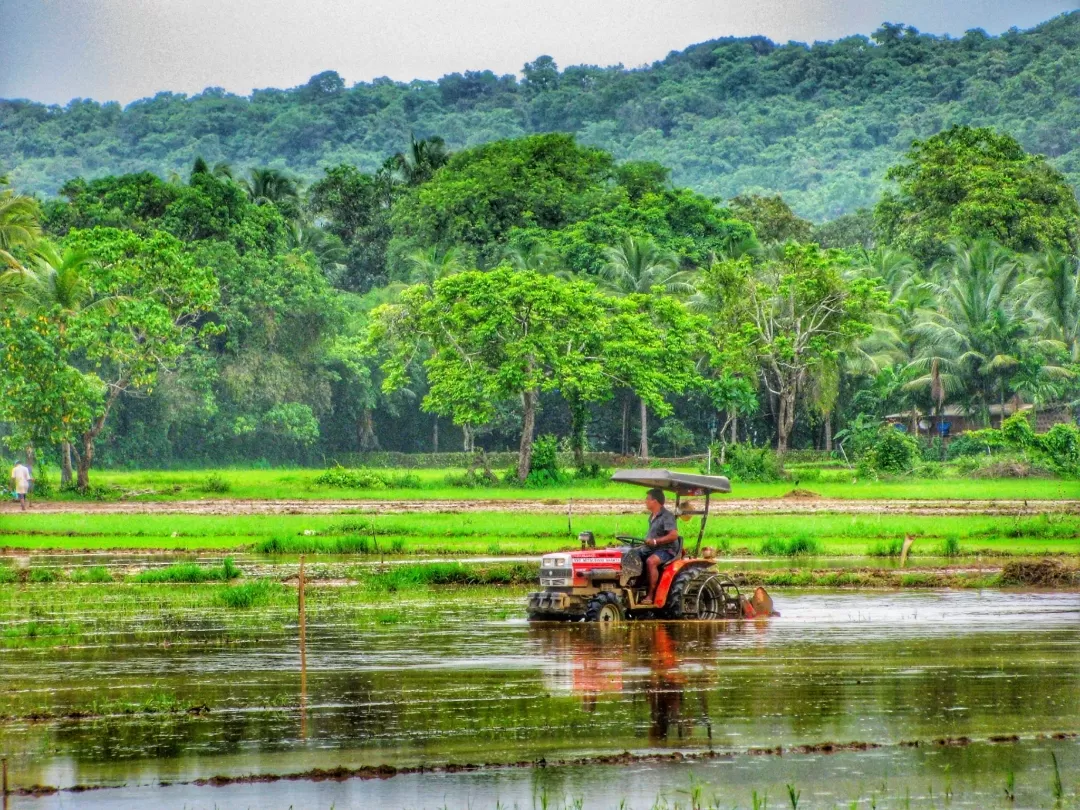 Photo of India By Sachin 