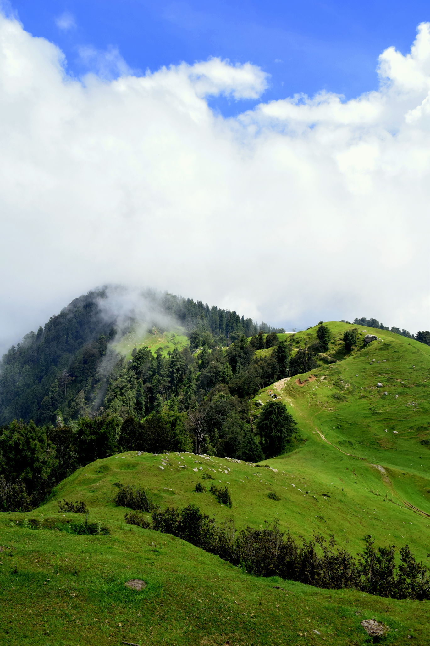 Photo of Dainkund Trek & Khajjiar - Only Pictures By Raman oberoi