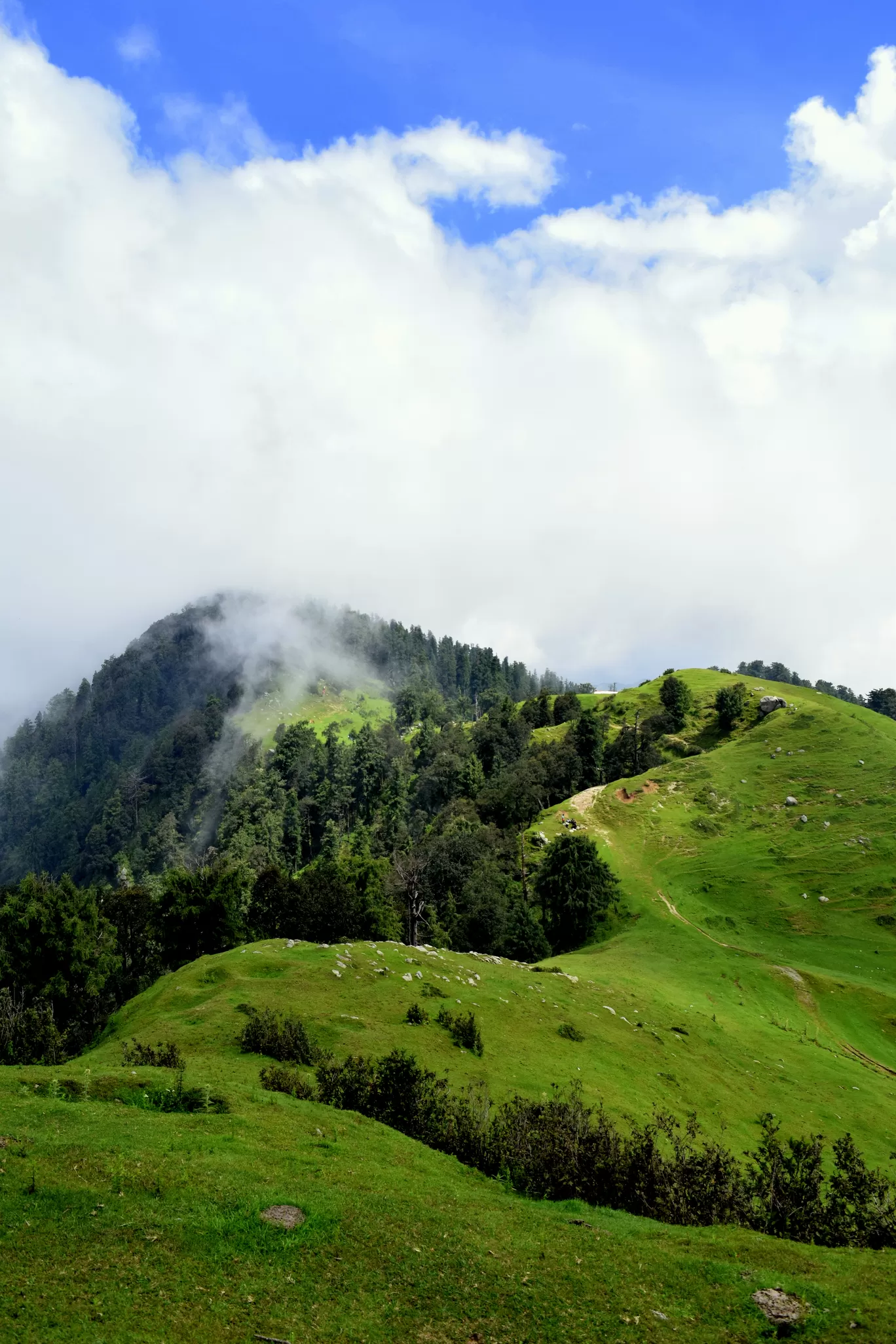 Photo of Dainkund Peak By Raman oberoi