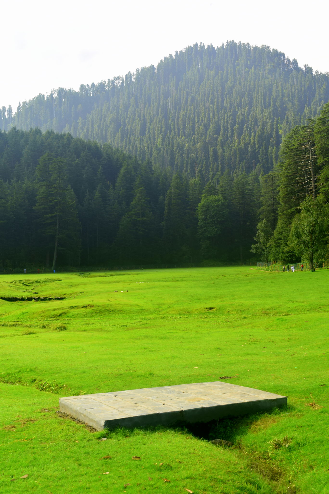 Photo of Dainkund Trek & Khajjiar - Only Pictures By Raman oberoi