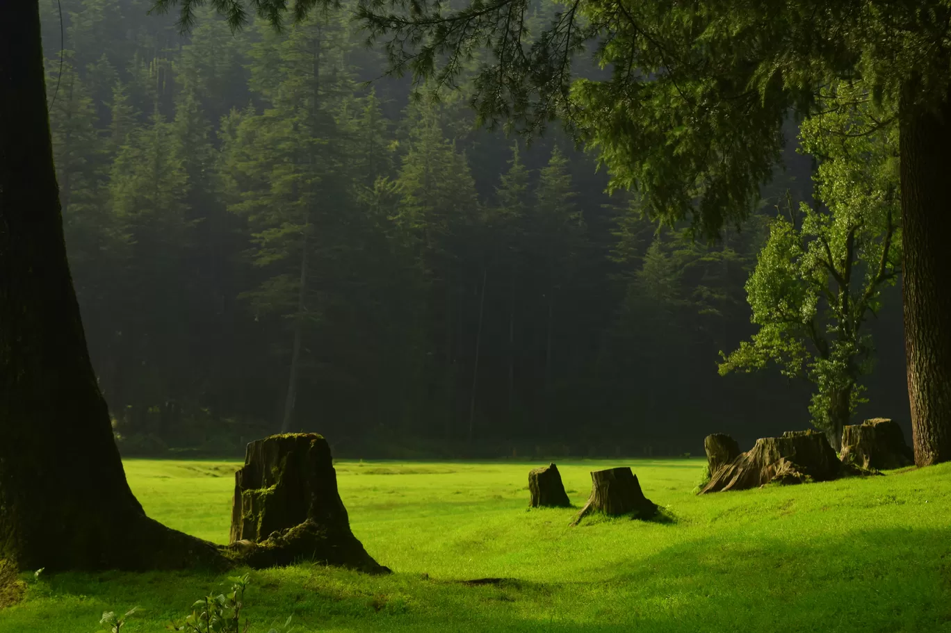 Photo of Khajjiar By Raman oberoi