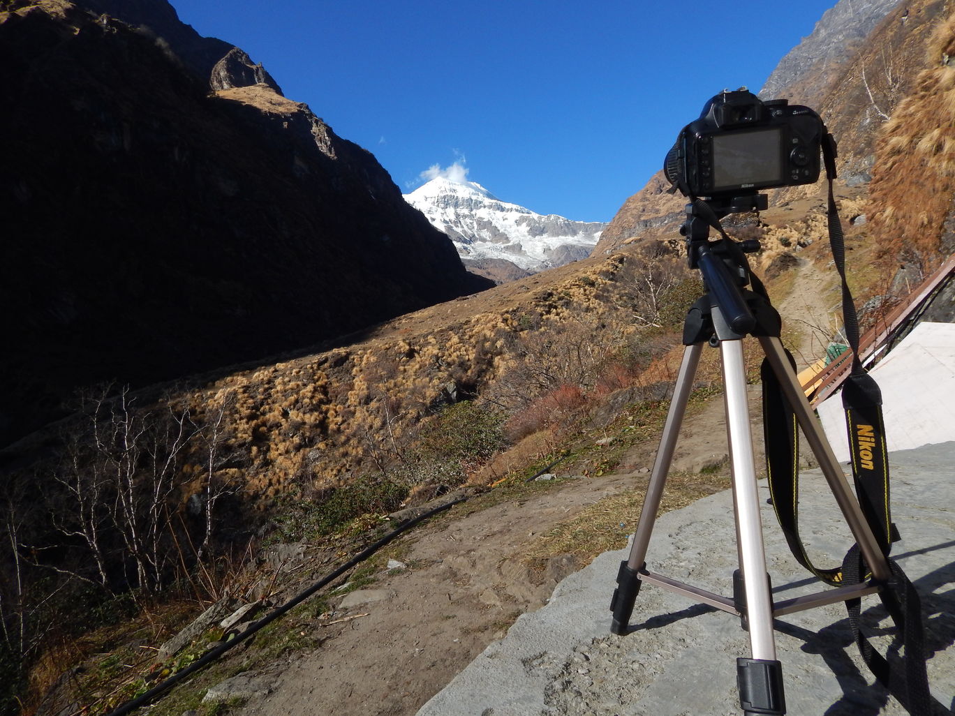 Photo of Pindari Glacier, Uttarakhand By Raman oberoi