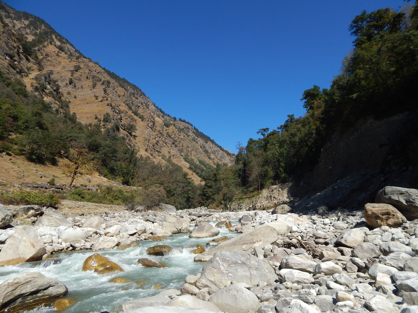 Photo of Pindari Glacier, Uttarakhand By Raman oberoi