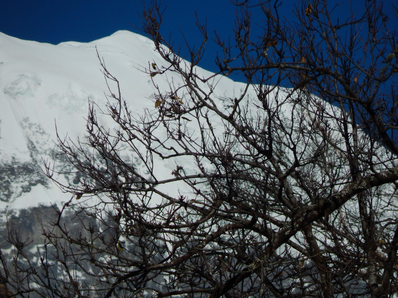 Photo of Pindari Glacier, Uttarakhand By Raman oberoi