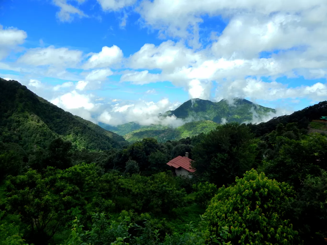 Photo of Pangot By Raman oberoi