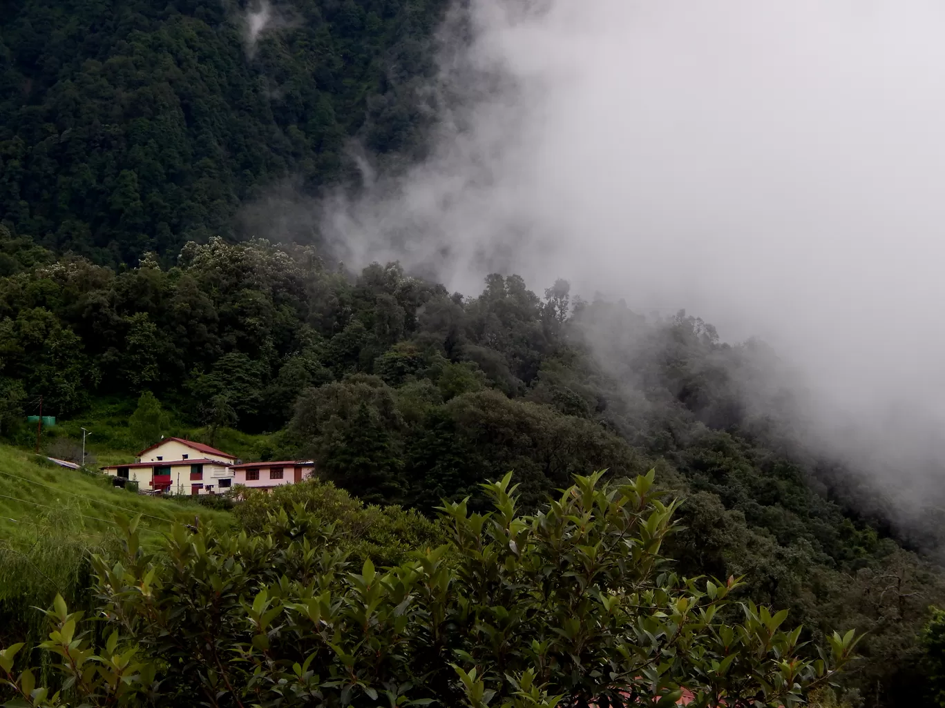 Photo of Pangot By Raman oberoi