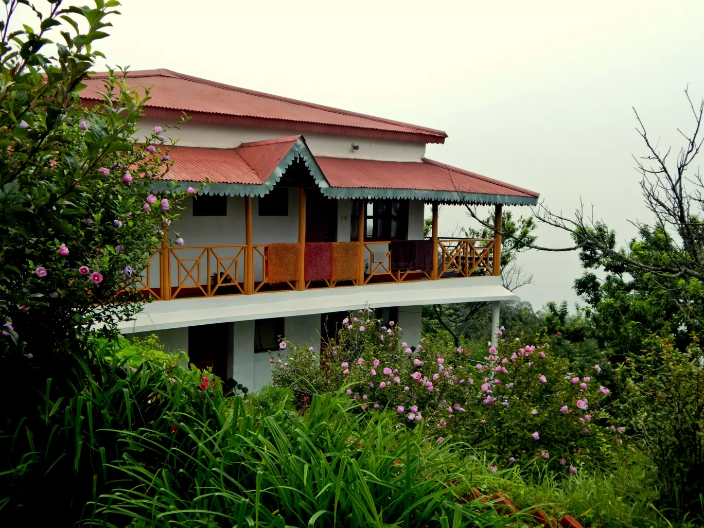 Photo of Pangot By Raman oberoi