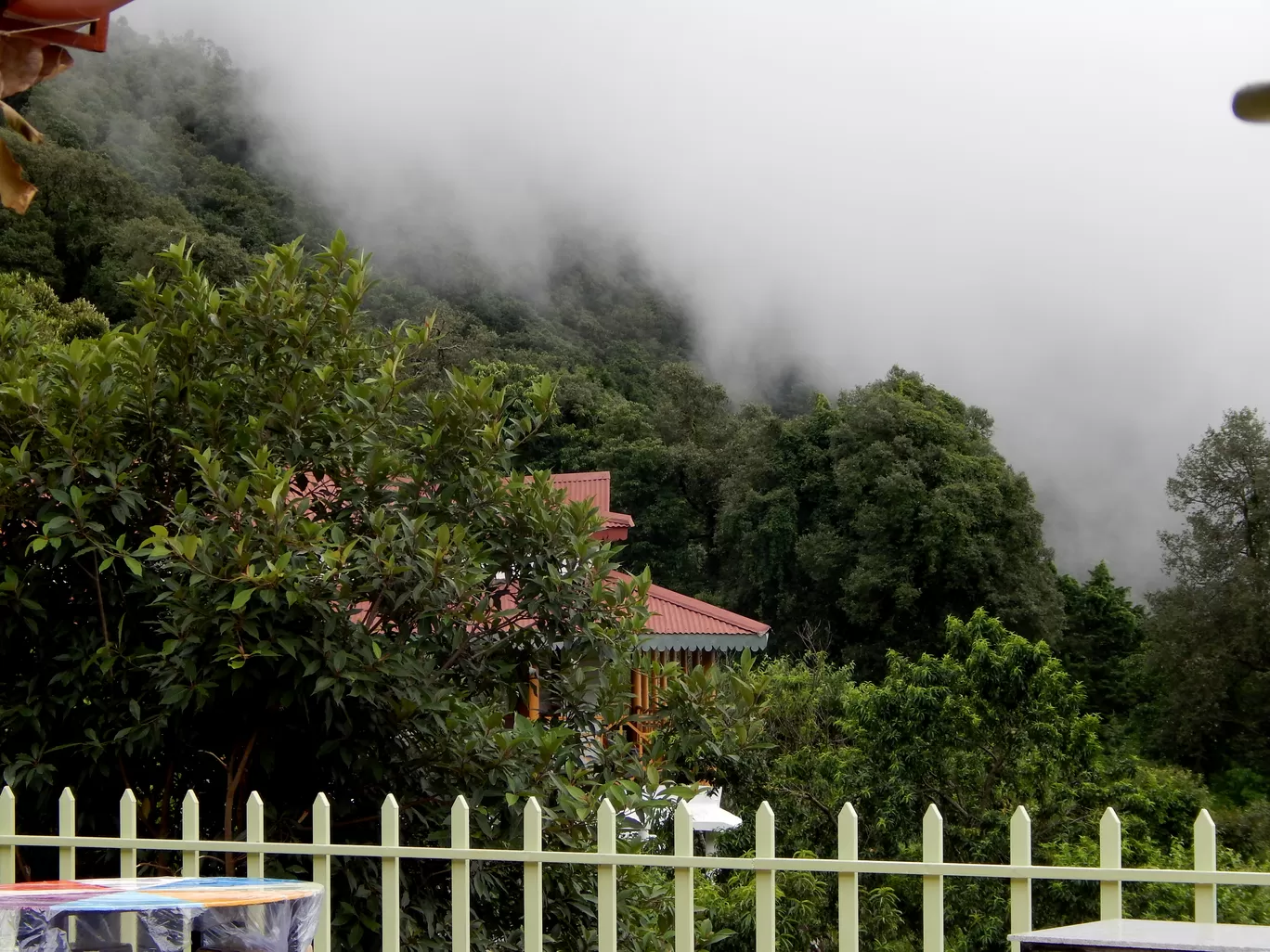 Photo of Pangot By Raman oberoi