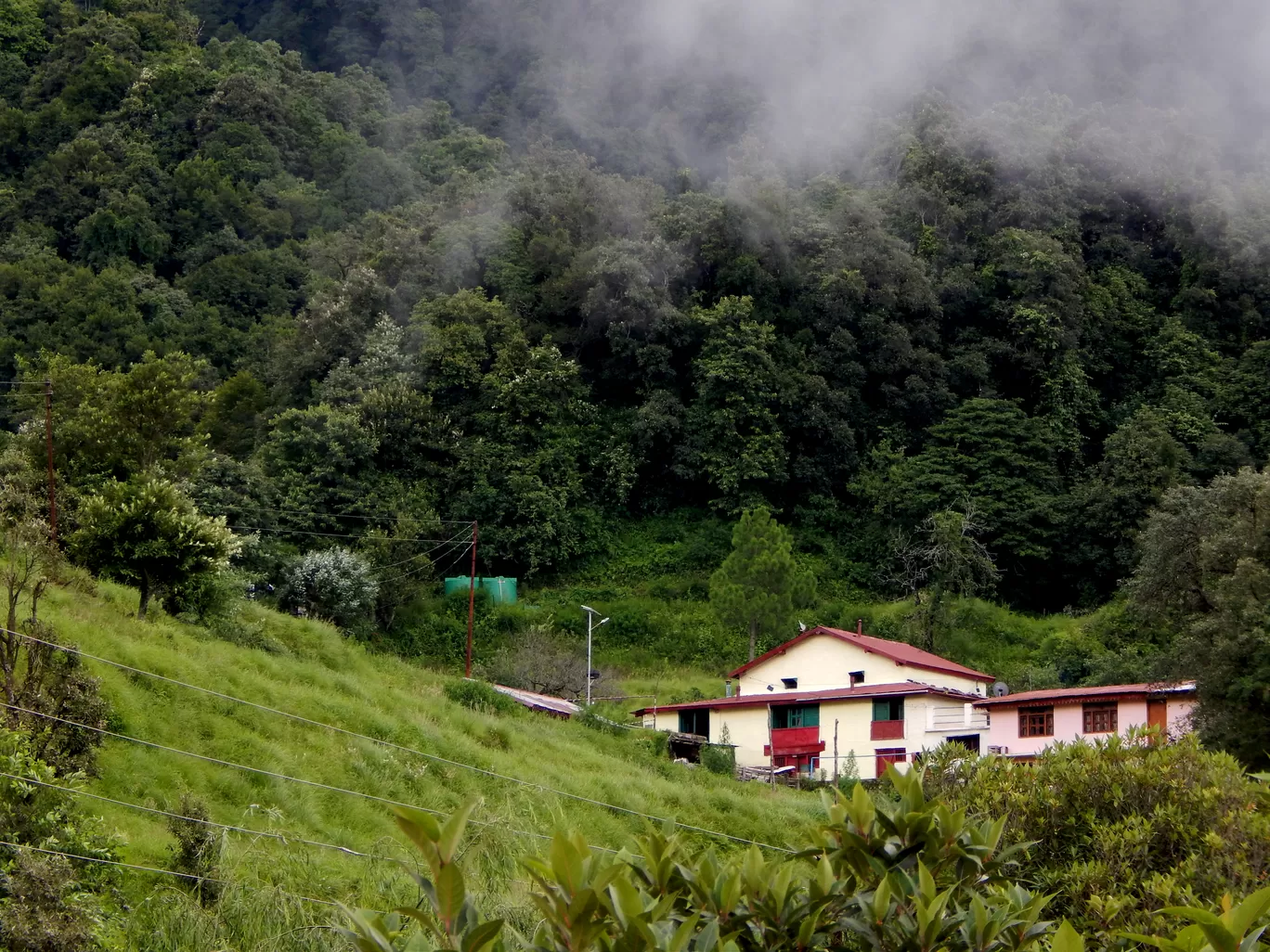Photo of Pangot By Raman oberoi