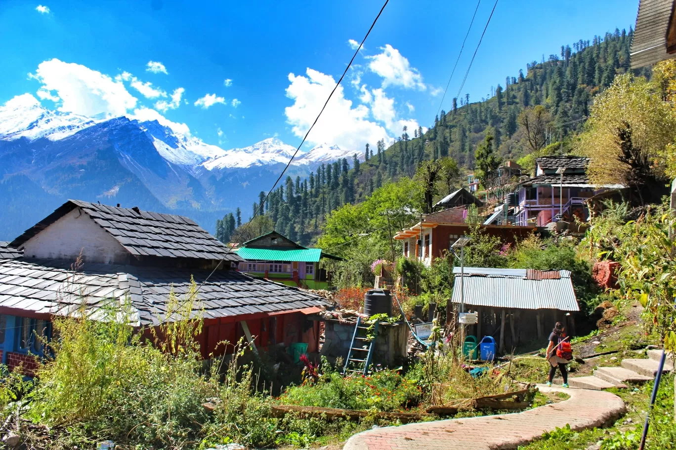 Photo of Tosh By Neha Rajke