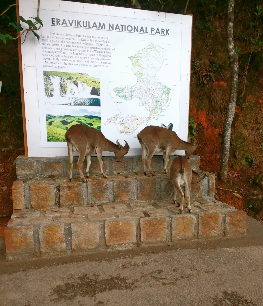 Photo of Kerala By Travel Trails Duo...!!!
