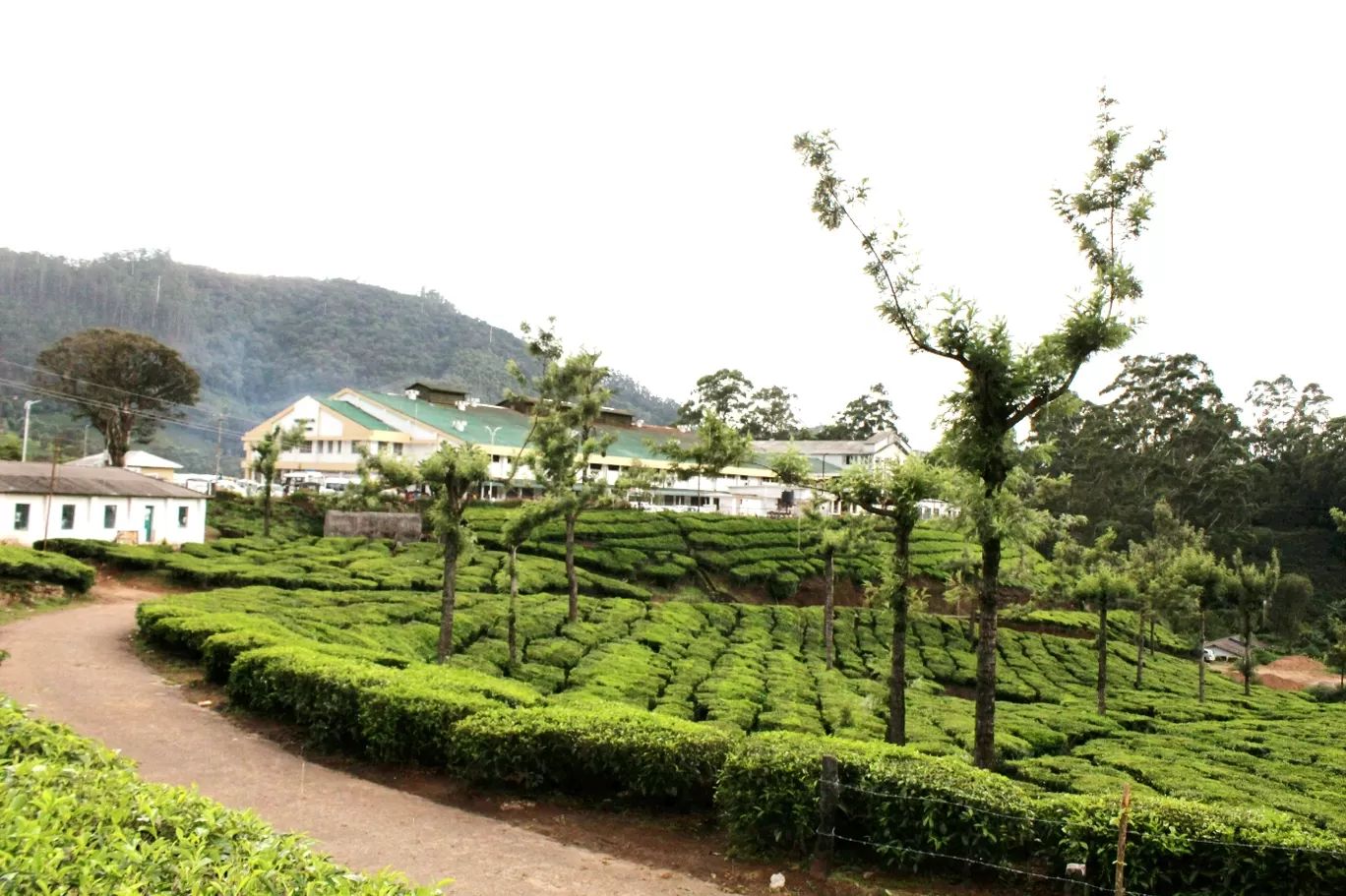 Photo of Kerala By Travel Trails Duo...!!!