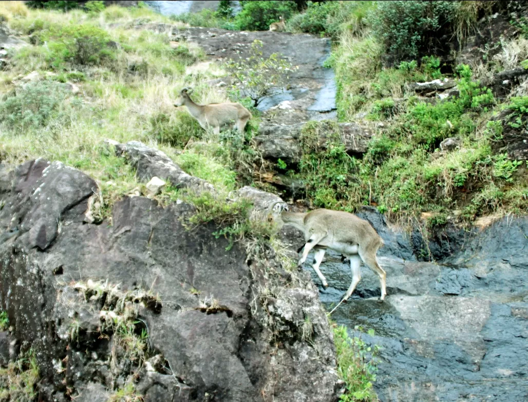 Photo of Kerala By Travel Trails Duo...!!!