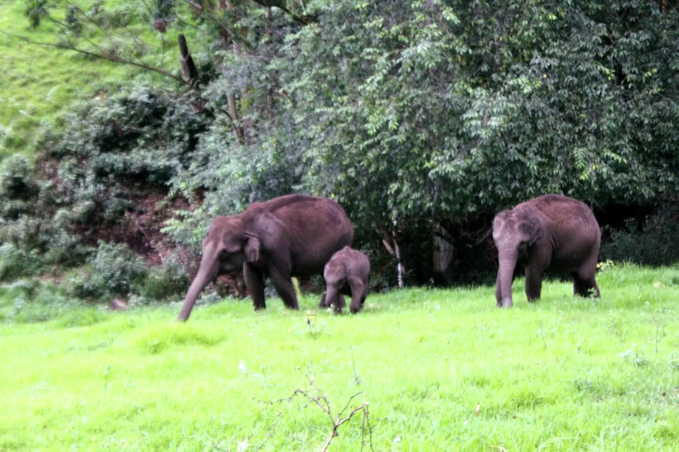 Photo of Kerala By Travel Trails Duo...!!!