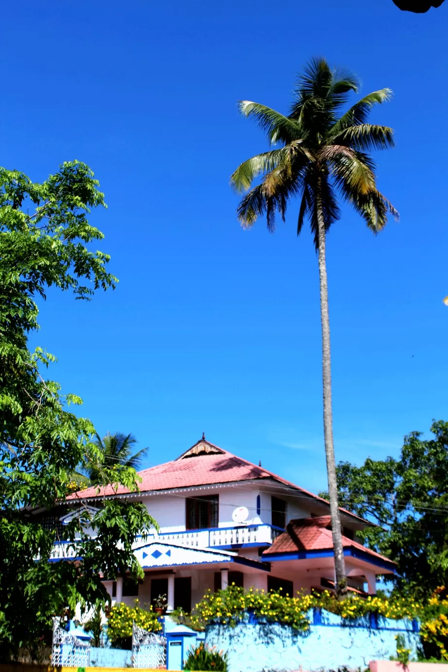 Photo of Kerala By Travel Trails Duo...!!!