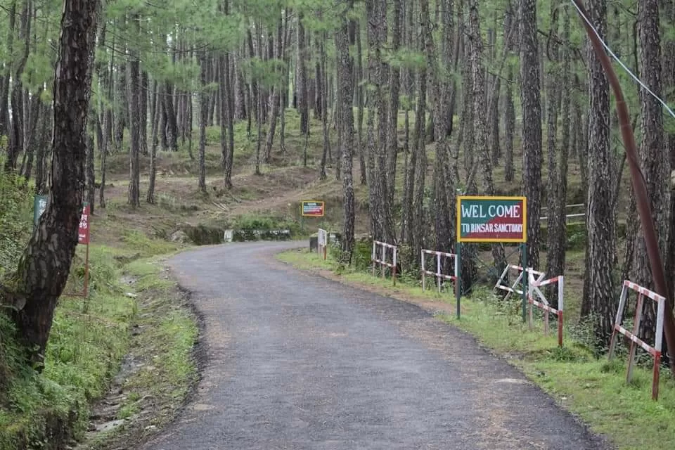 Photo of Binsar By Neha Rastogi
