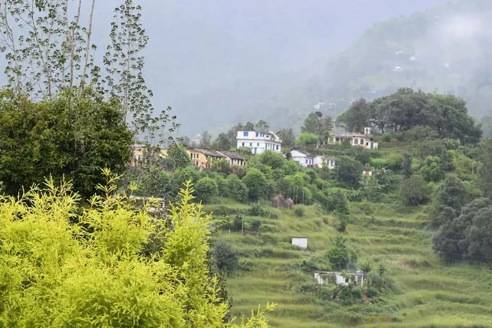 Photo of Binsar By Neha Rastogi