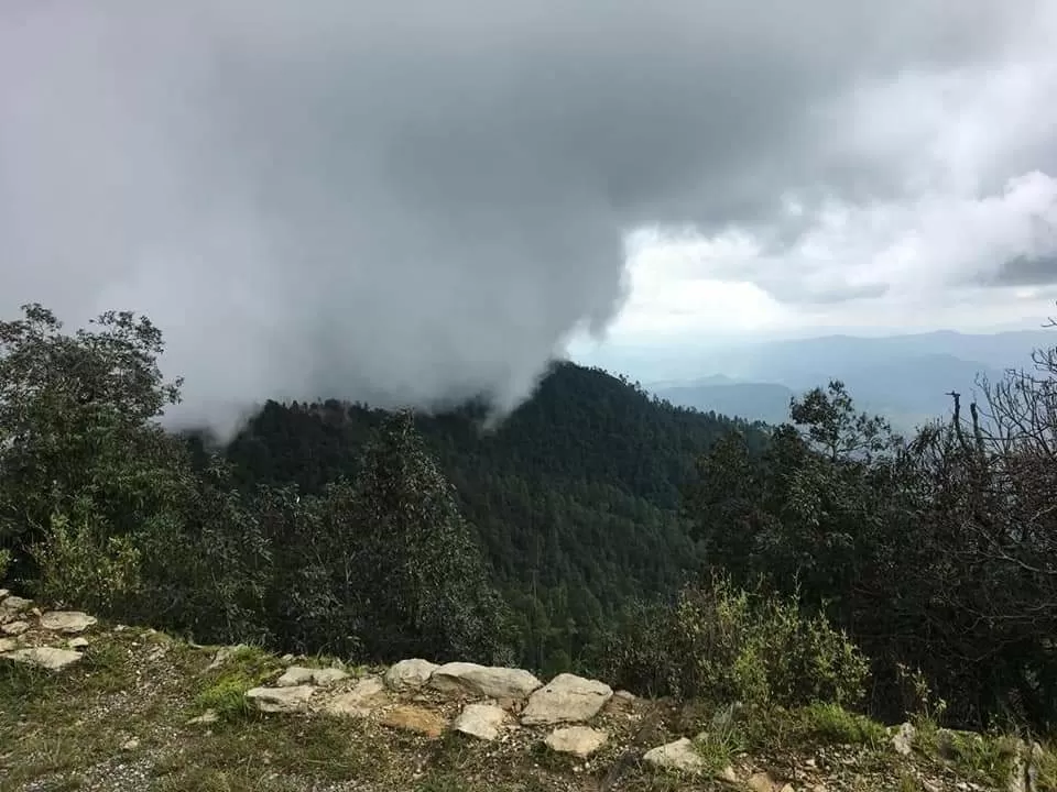 Photo of Binsar By Neha Rastogi