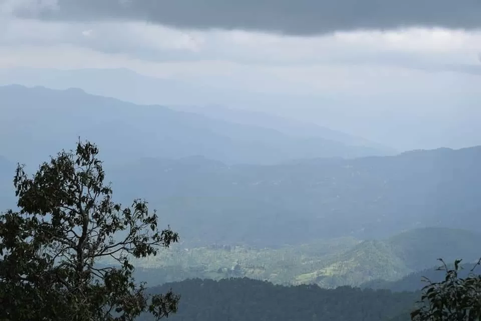 Photo of Binsar By Neha Rastogi