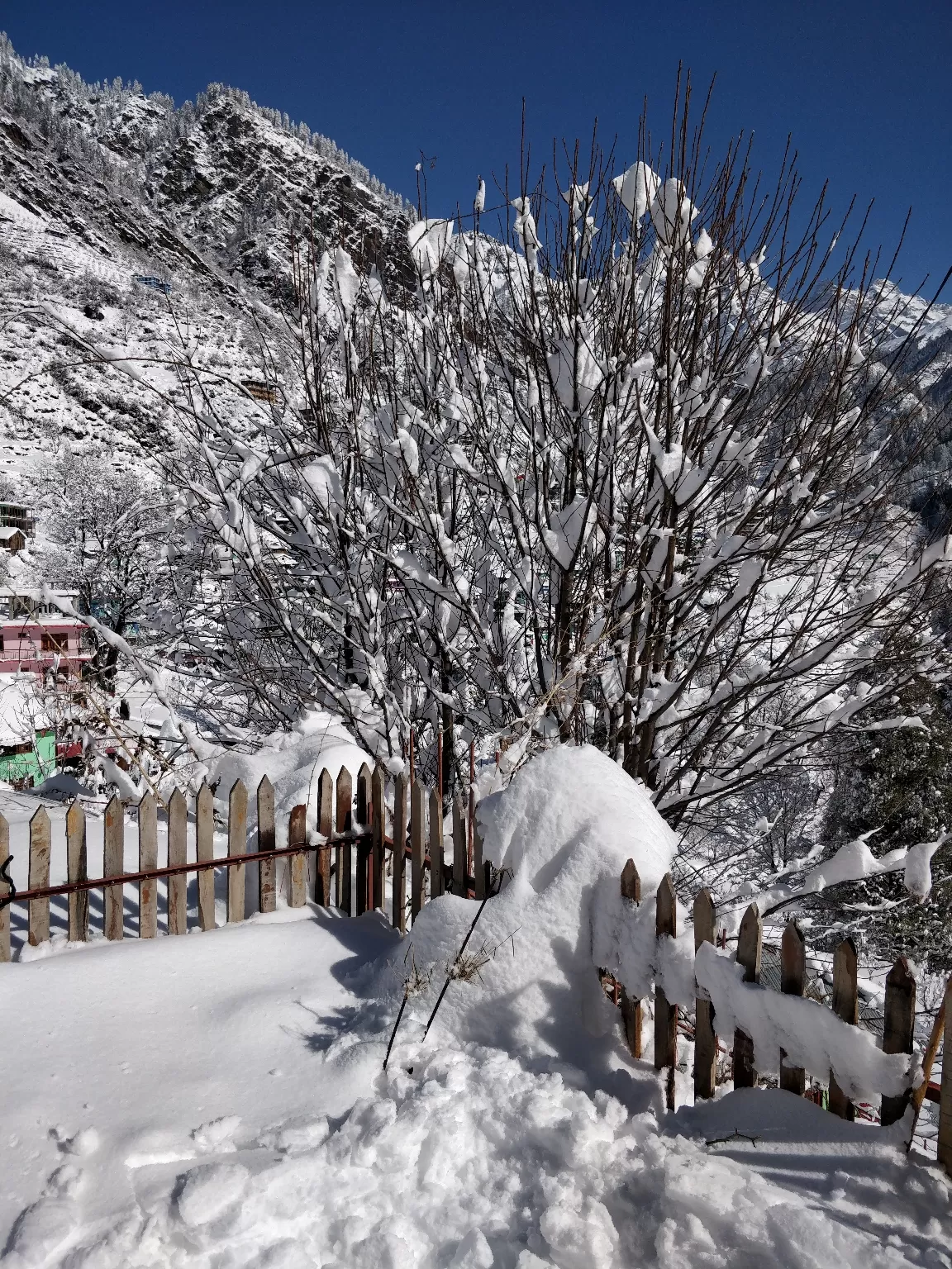 Photo of Tosh By Dhiren Chopra