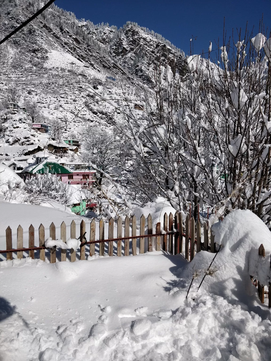 Photo of Tosh By Dhiren Chopra