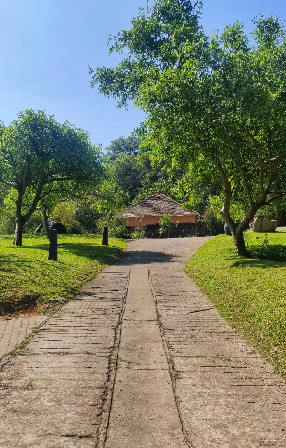 Photo of Coorg By Dr.Shefali