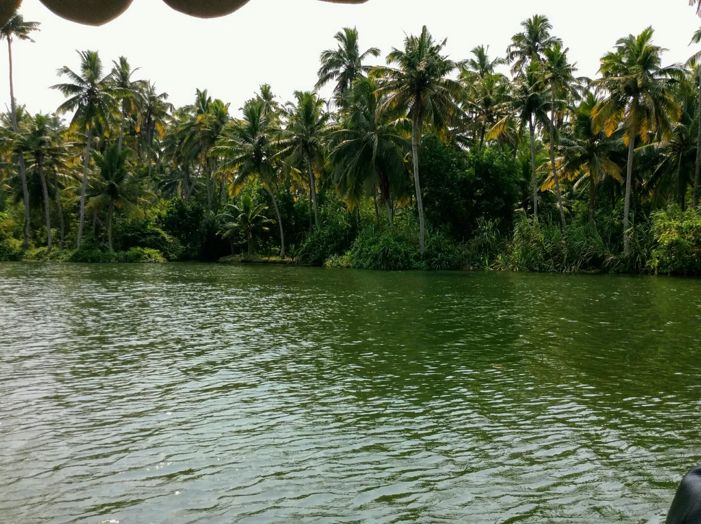 Photo of Poovar Back Waters By Pooja Jaggari