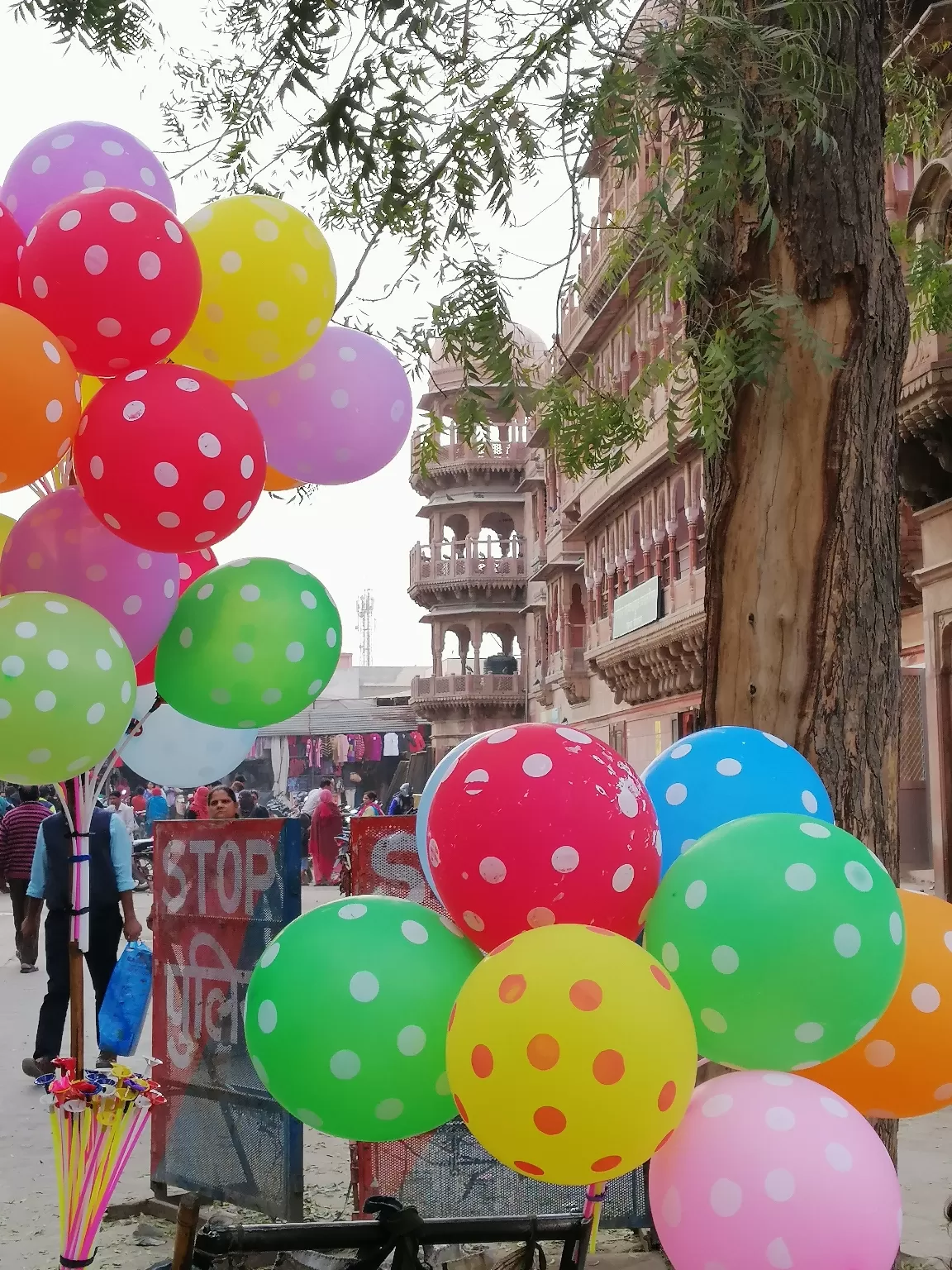 Photo of Gayatri Marg By Sorav Gahlot