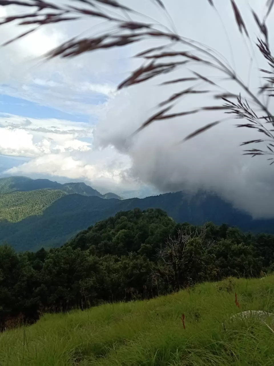 Photo of Kausani By manish mehta