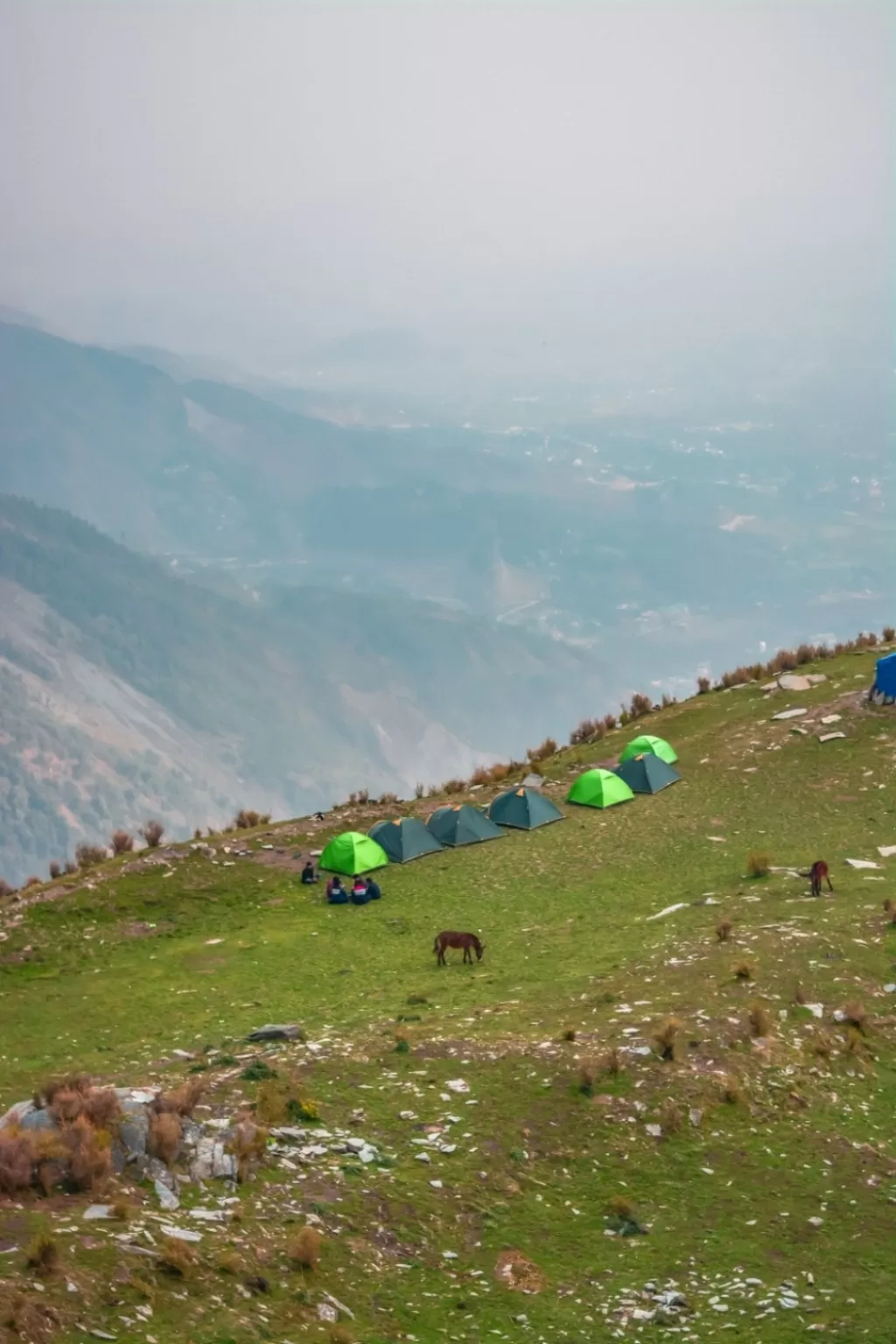 Photo of Triund Trek By Vibhu Anand Singh