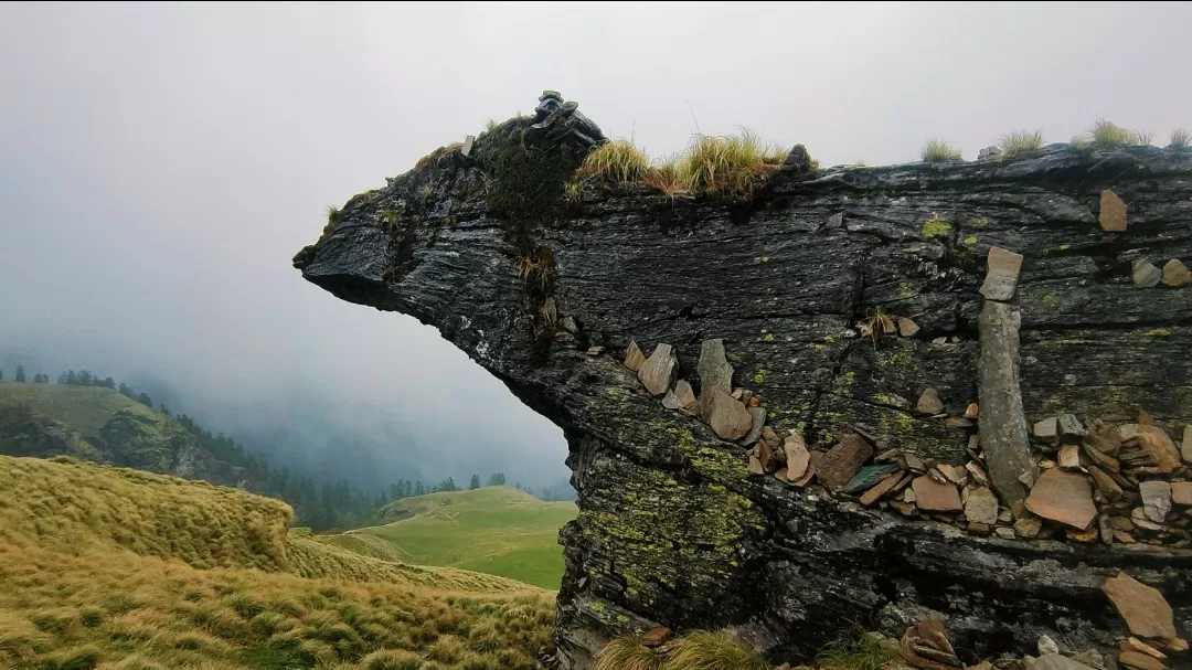 Photo of Kedarnath Wildlife Sanctuary By Vibhu Anand Singh