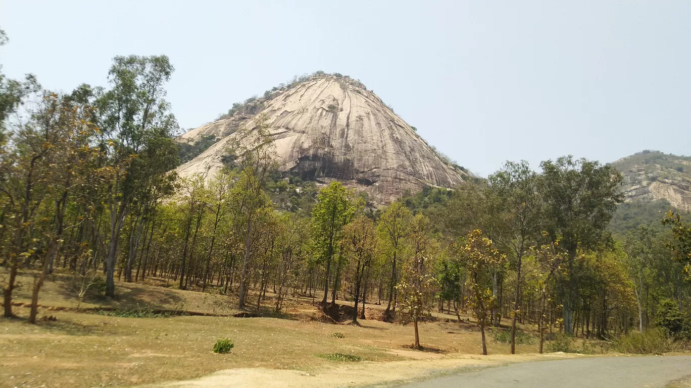 Photo of Ajodhya Hill and Forest Reserve Area By Withyou Uma