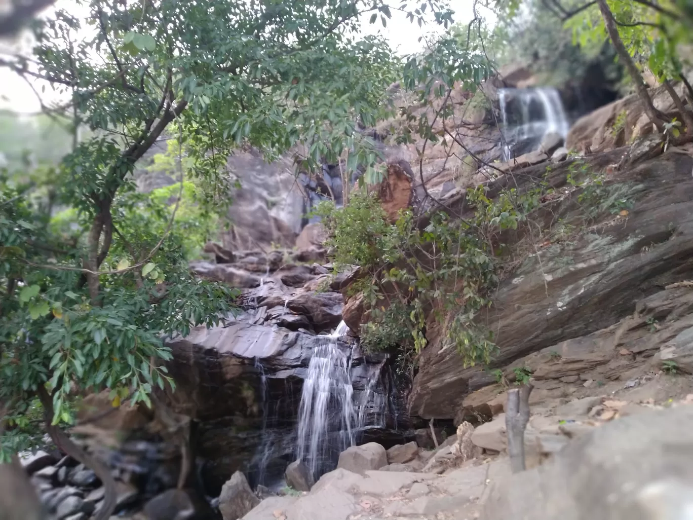 Photo of Ajodhya Hill and Forest Reserve Area By Withyou Uma