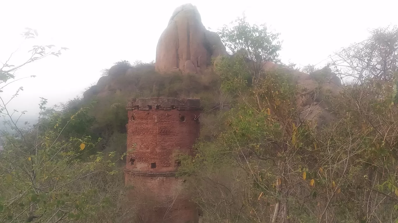 Photo of Ajodhya Hill and Forest Reserve Area By Withyou Uma