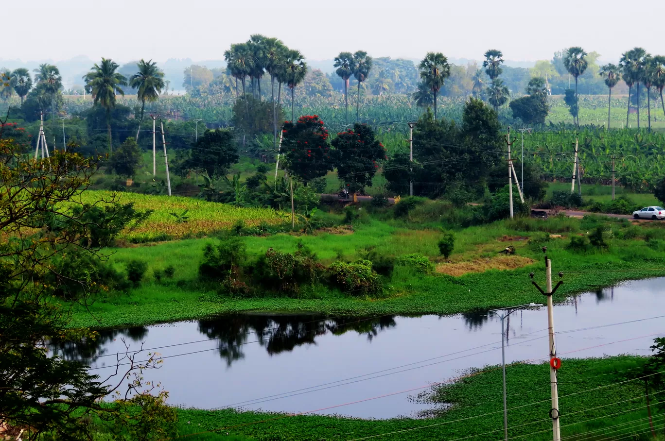 Photo of Undavalli By Tanushree Das