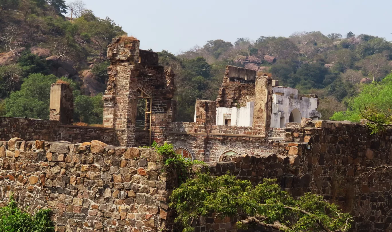 Photo of Kondapalli By Tanushree Das