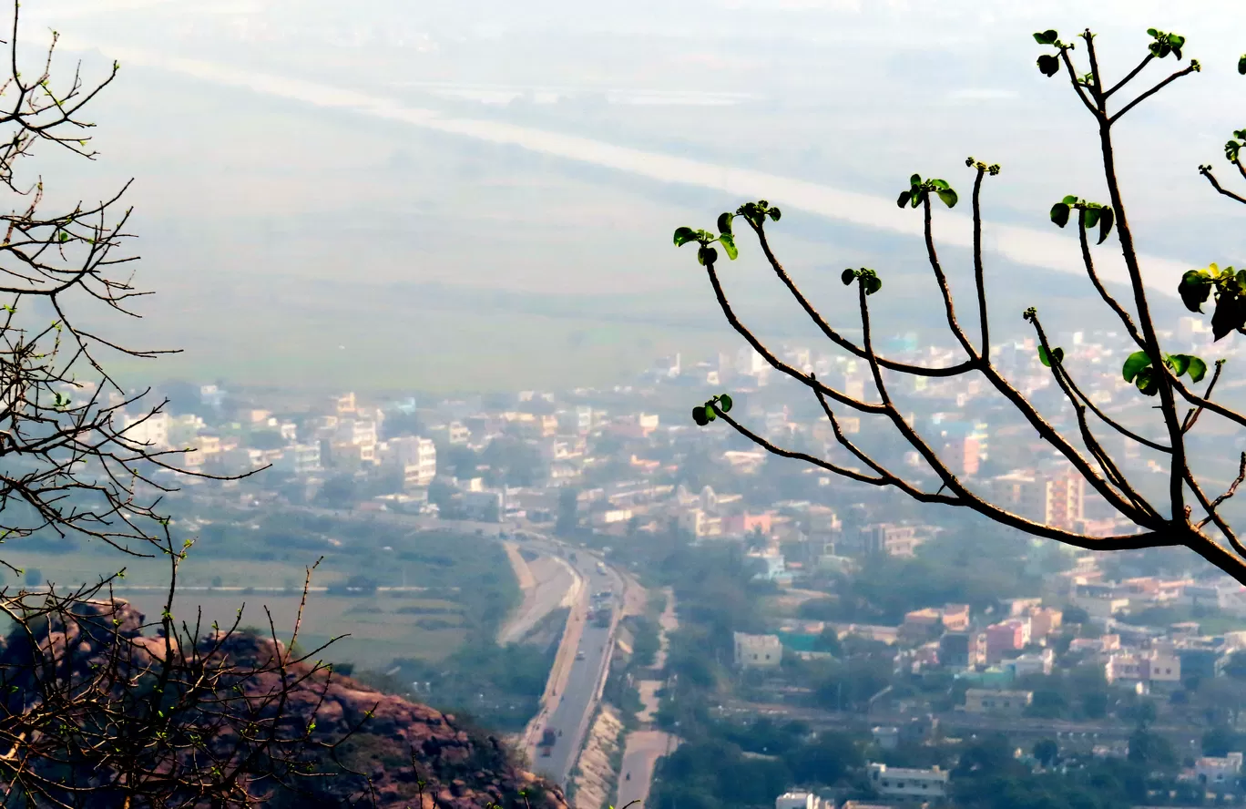 Photo of Kondapalli By Tanushree Das