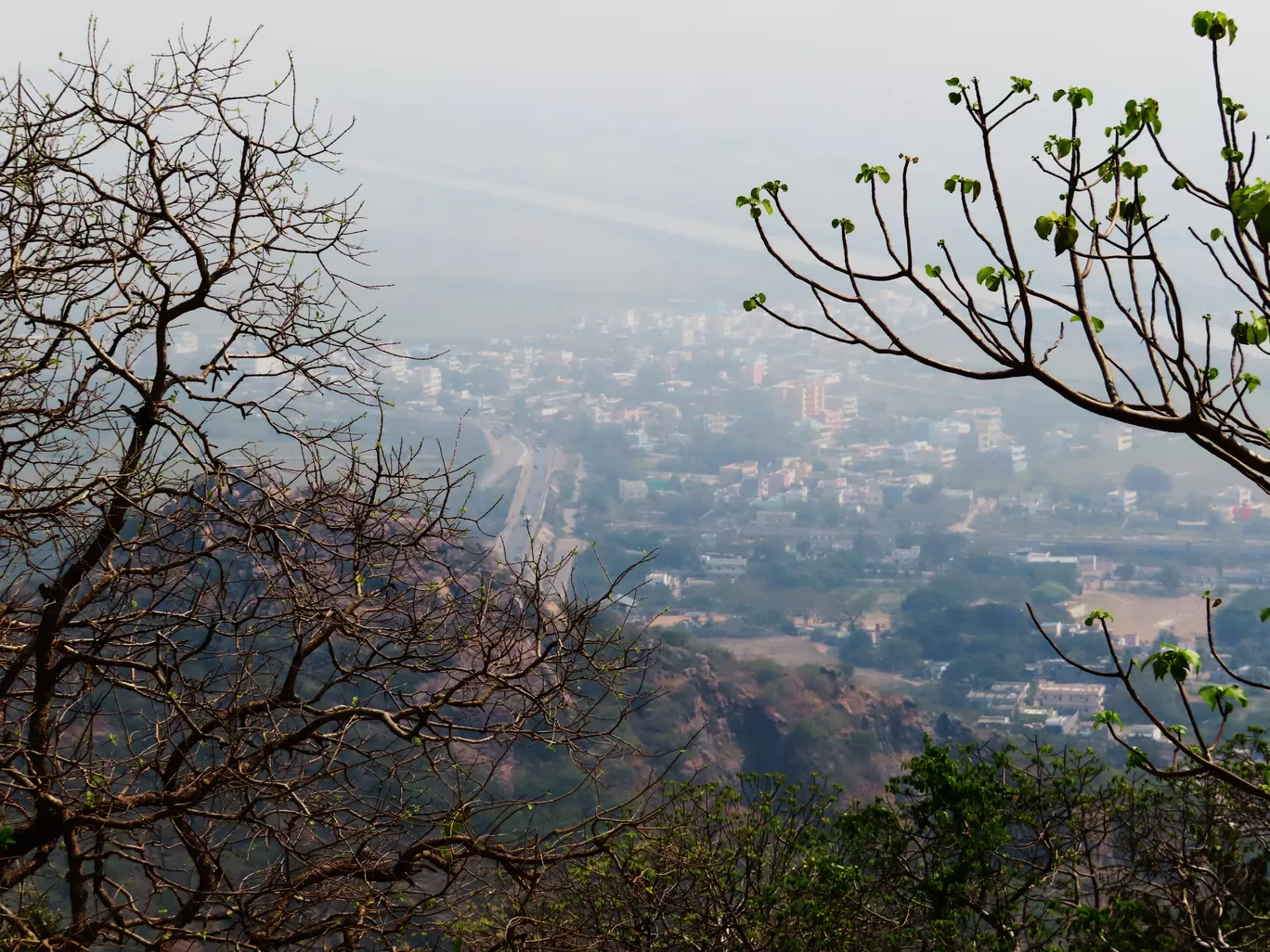 Photo of Kondapalli By Tanushree Das