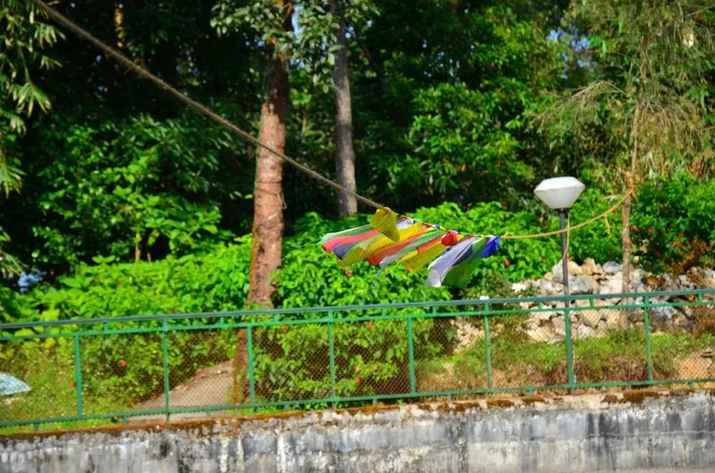 Photo of Aritar Lamphokhari By Avishek Choudhury