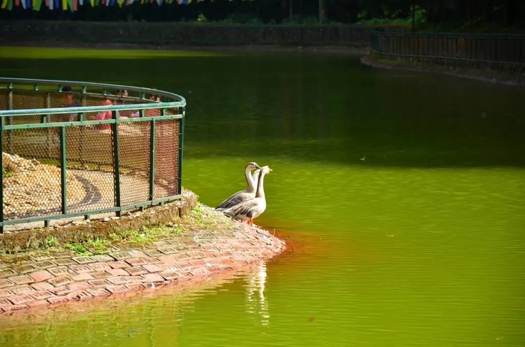 Photo of Aritar Lamphokhari By Avishek Choudhury