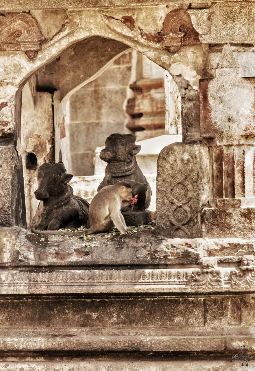 Photo of Hampi By Kaustav Sen