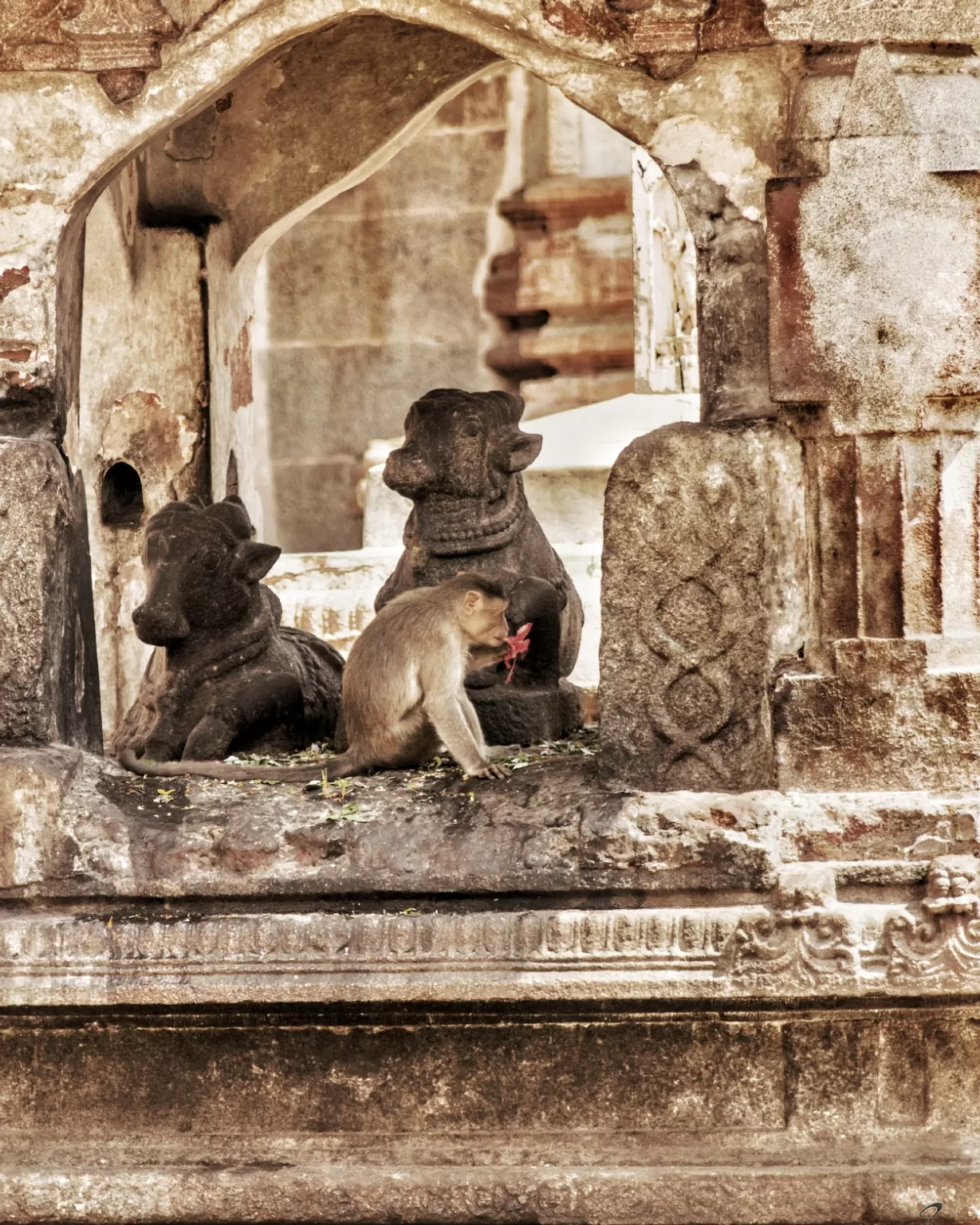 Photo of Hampi By Kaustav Sen