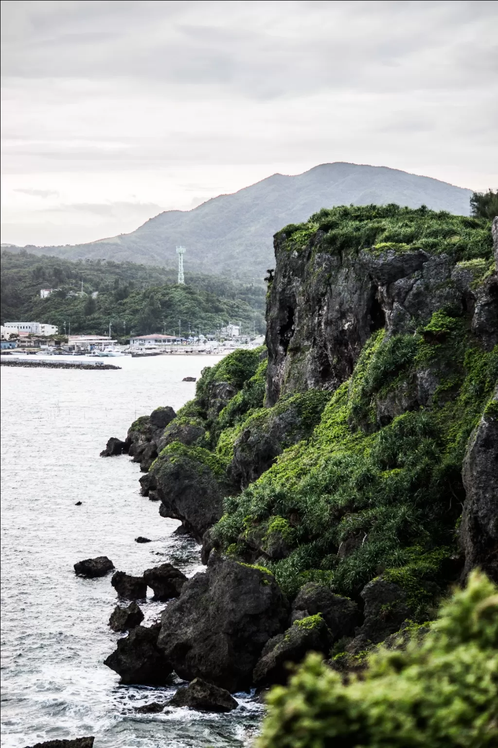 Photo of Japan By A Lone Wolf!!!