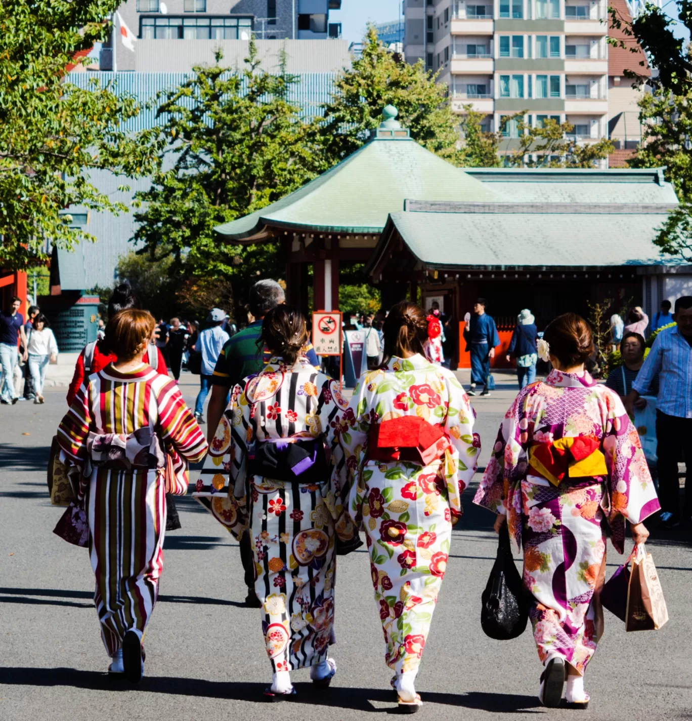 Photo of Japan By A Lone Wolf!!!