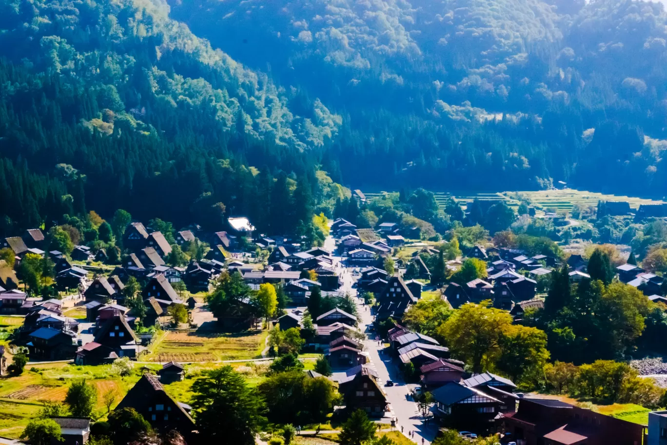 Photo of Japan By A Lone Wolf!!!