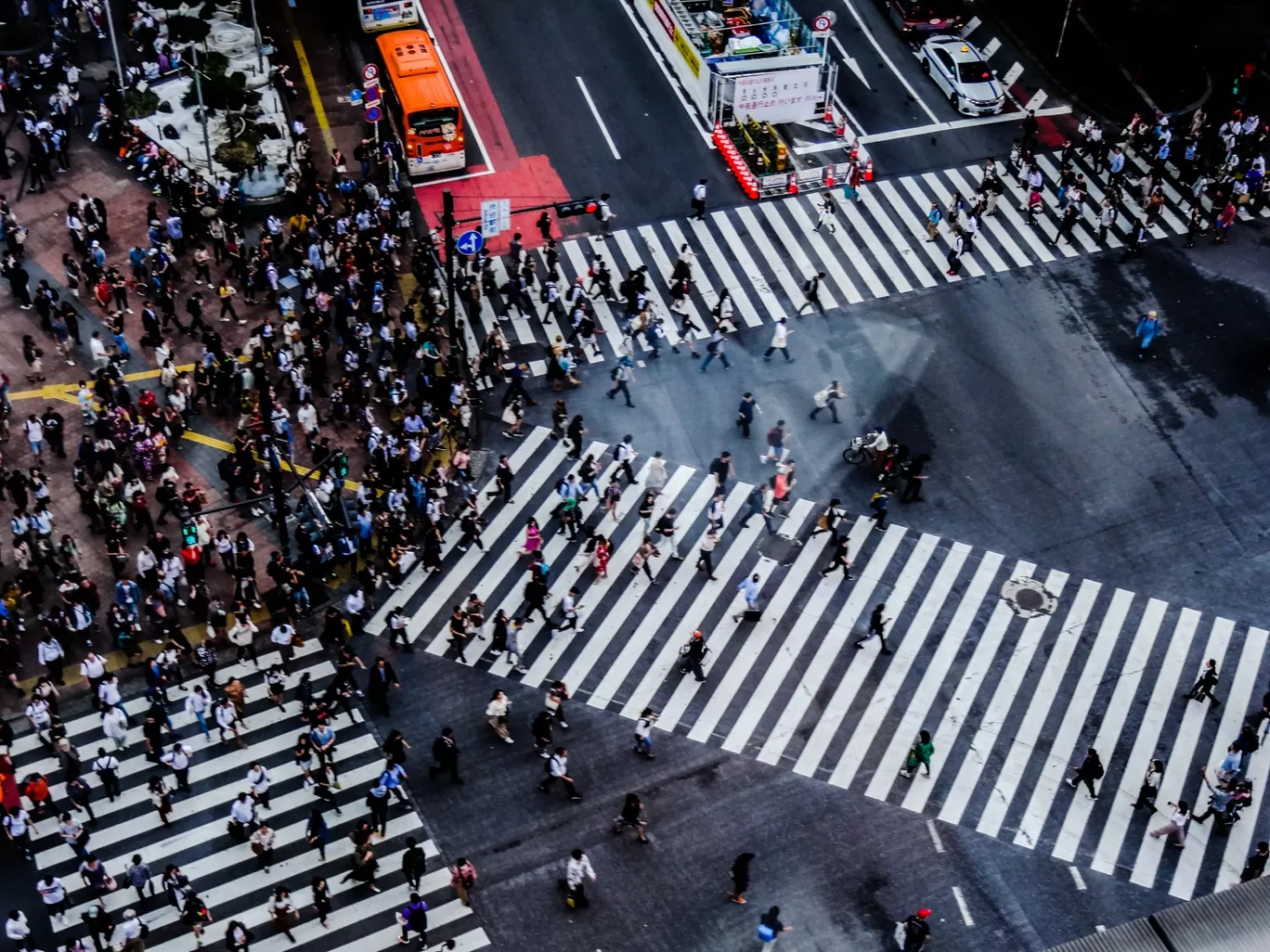 Photo of Japan By A Lone Wolf!!!