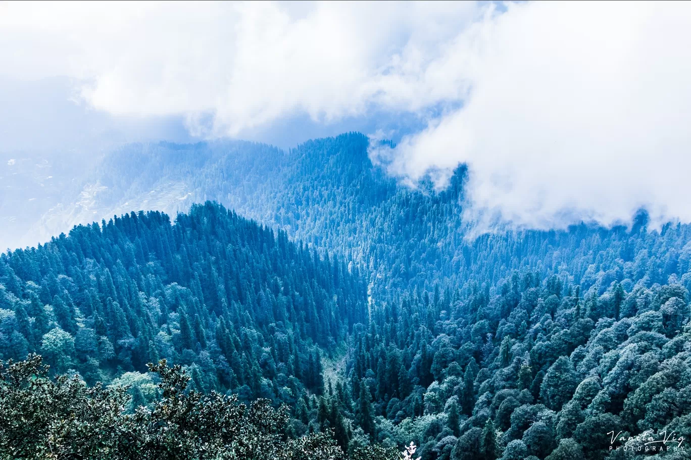Photo of Himachal Pradesh By Vanita Vig