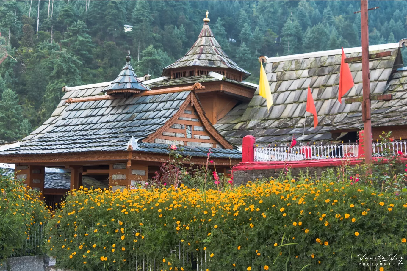 Photo of Himachal Pradesh By Vanita Vig