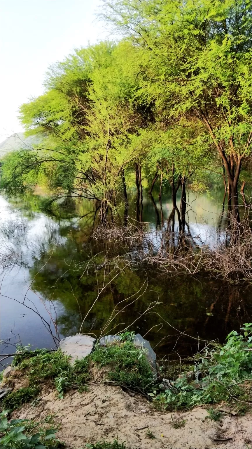 Photo of Badi Lake view point By Sanjusha Gandarapu