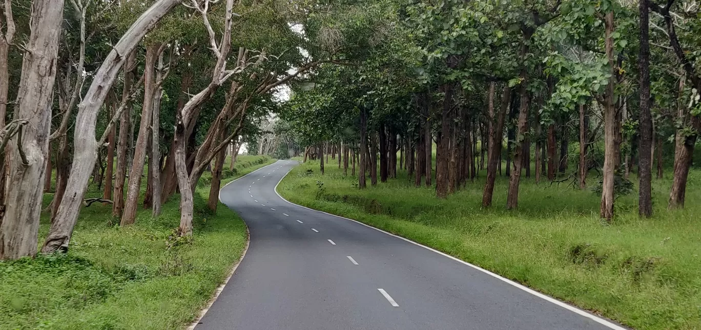 Photo of Mudumalai National Park By Axay Pithava